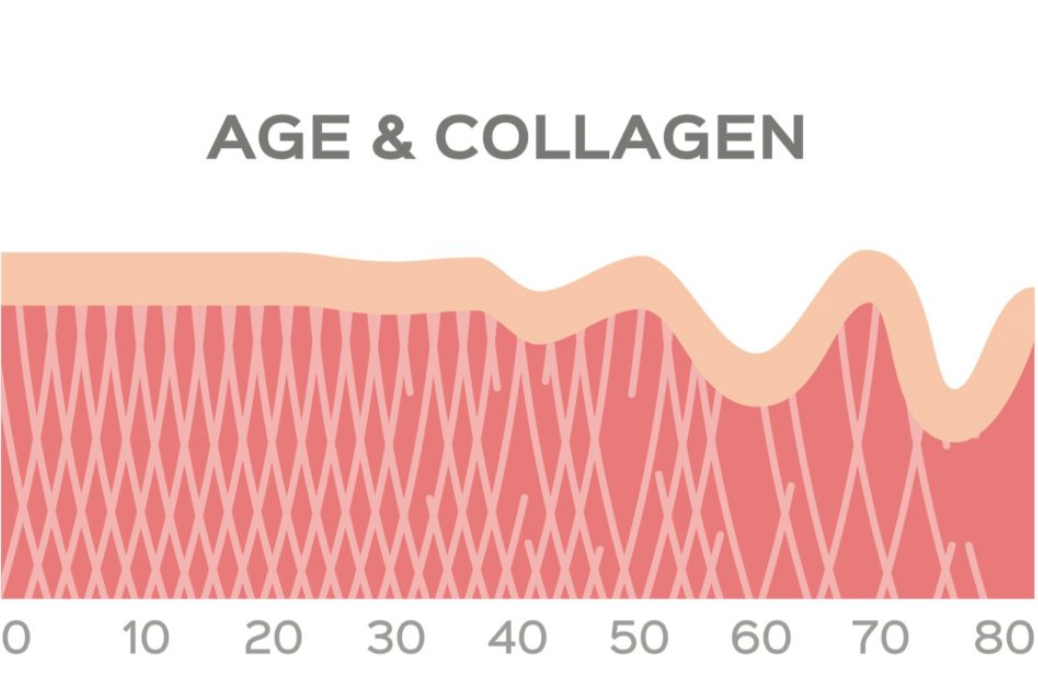 collagen with age